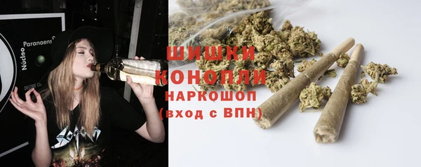 ECSTASY Дмитриев