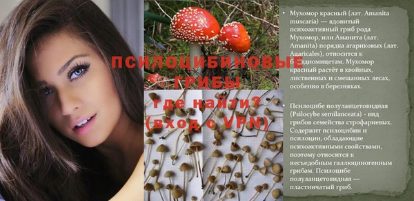 прущая мука Дмитров