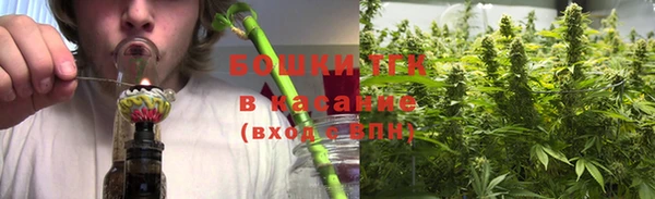 ECSTASY Дмитриев