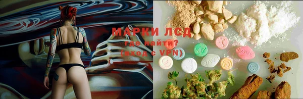 ECSTASY Дмитриев